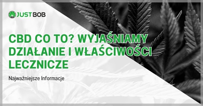 CBD co to? Wyjaśniamy działanie i właściwości lecznicze