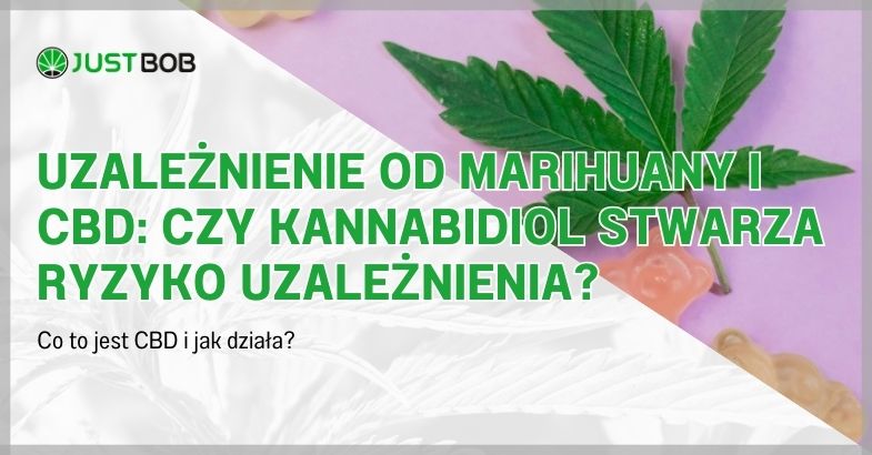 Uzależnienie od Marihuany i CBD