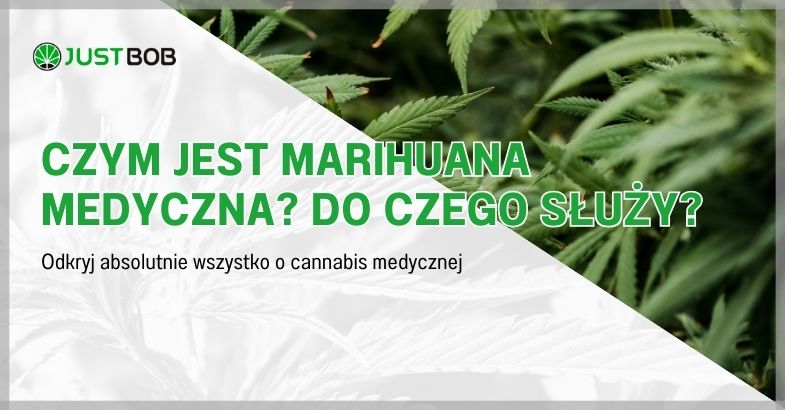 Czym jest marihuana medyczna?